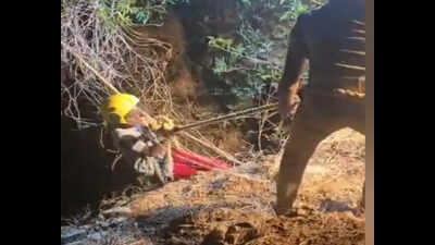Girl stuck in dry well while saving goat, rescued after 5 hours