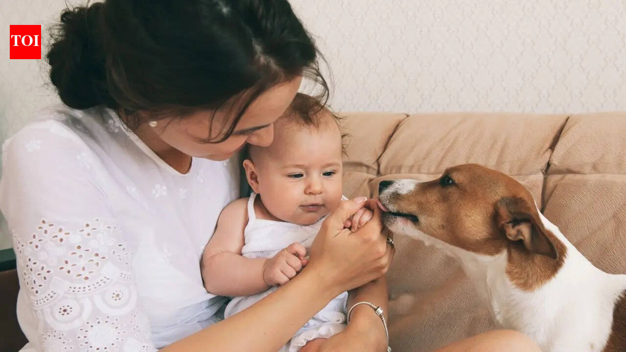 Planning to be a pet parent? These are the 5 best pets one can keep in a small apartment