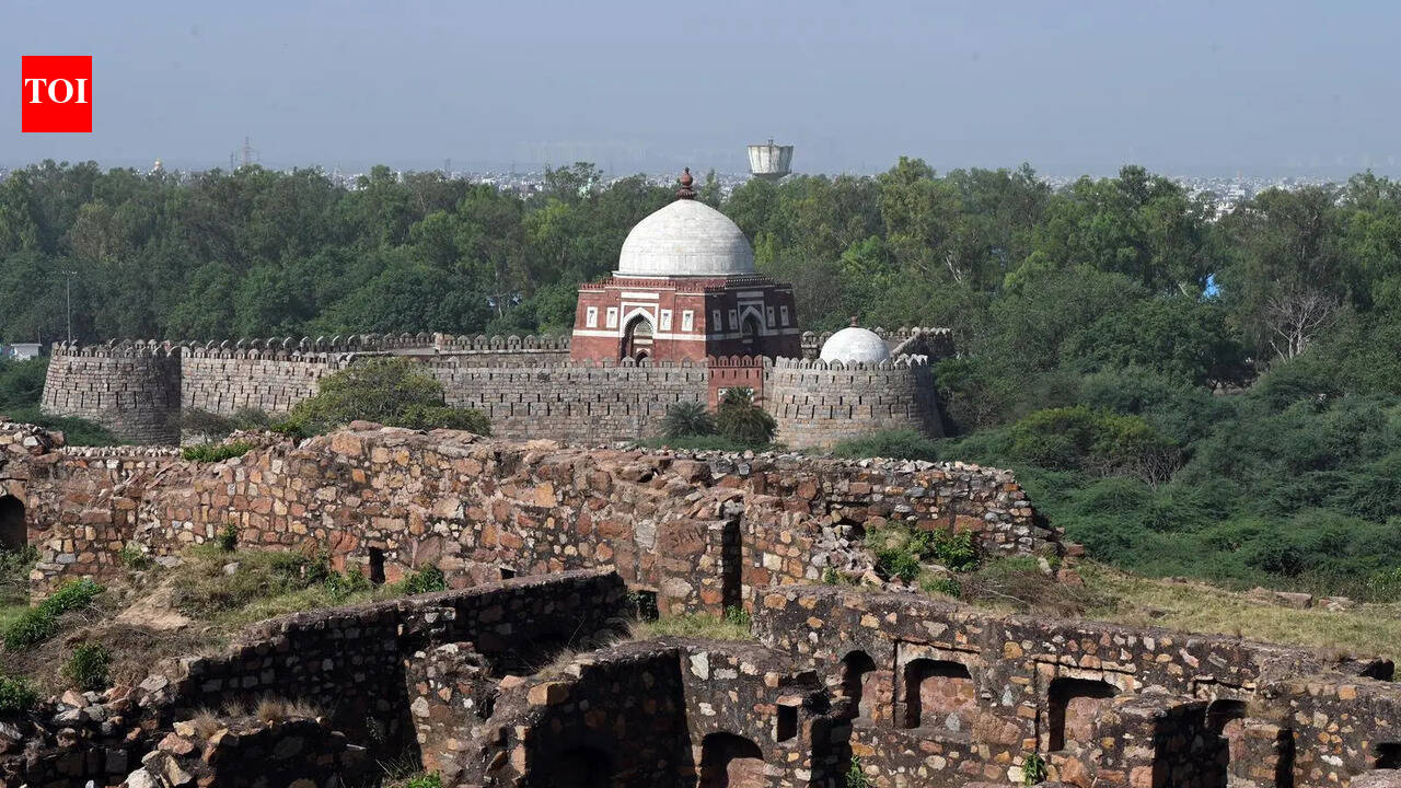 Tughlaqabad Fort Survey work gets stalled