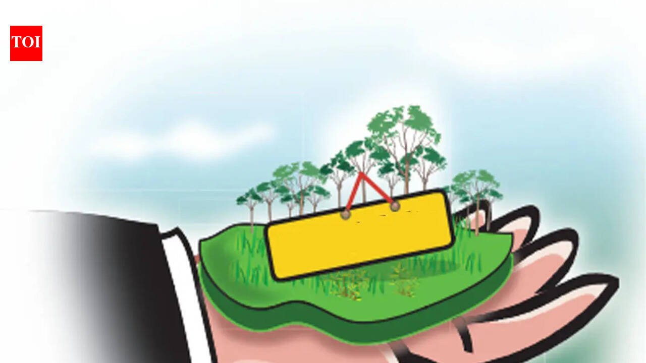 Govt to introduce new system for ‘raiyati’ land deals soon