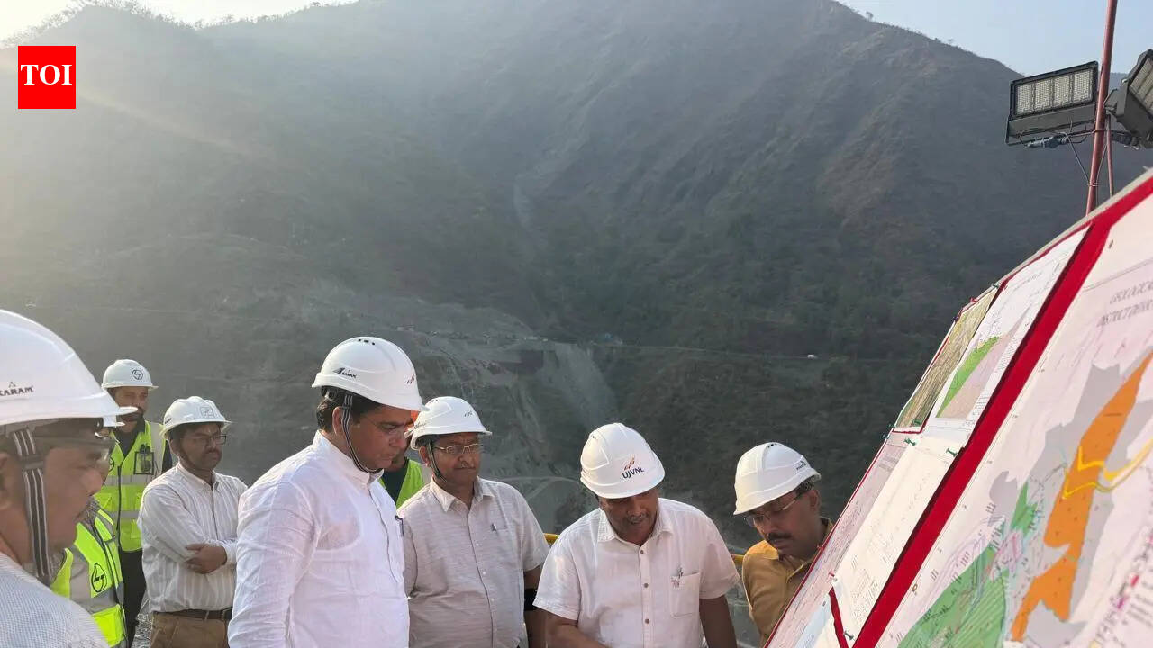 Rajasthan releases ₹53cr to Uttarakhand to bring Yamuna water