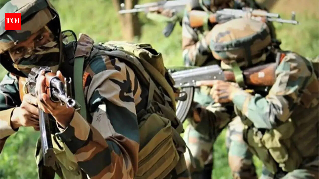Terrorist killed, Poonch infiltration bid foiled