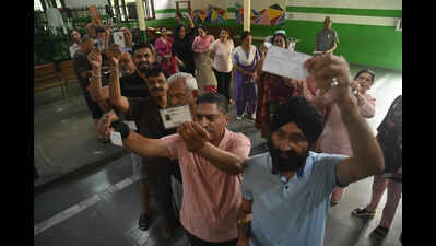 Counting Today: BJP Eyes Sweep, Cong Wary