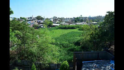 Nagpur’s Vanishing Lakes Trigger Environmental Alarm, High Court Steps In