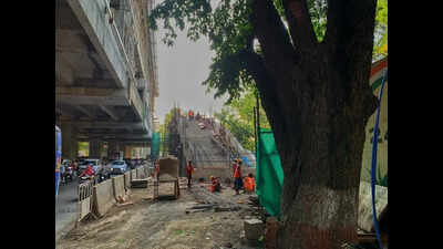 Axe looms over more than 500 trees on University-Ganeshkhind Road