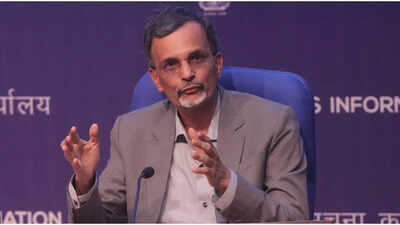 Crisis in West Asia a live BoP stress test: CEA V Anantha Nageswaran