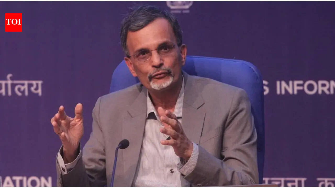 Crisis in West Asia a live BoP stress test: CEA V Anantha Nageswaran