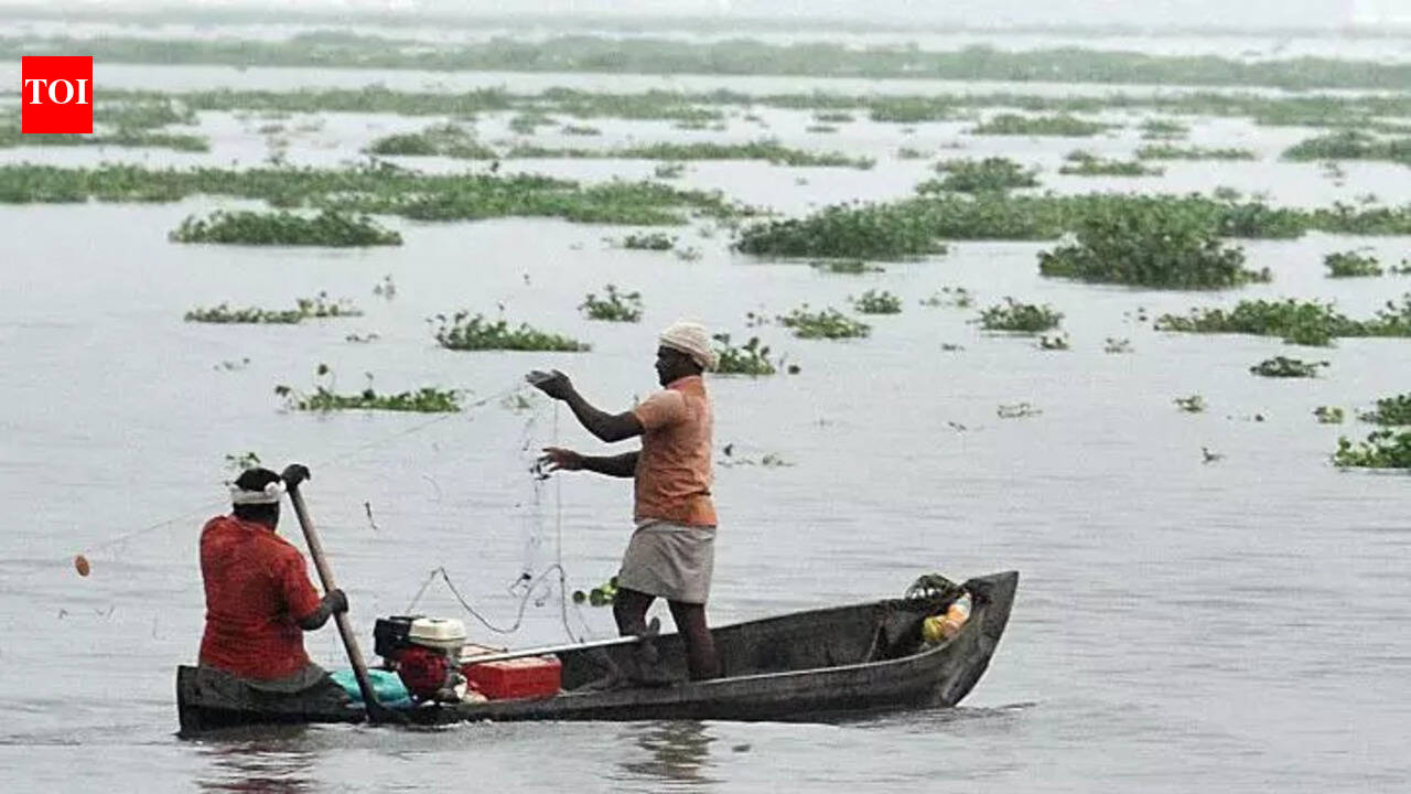 Monsoon may hit Andamans this week: IMD