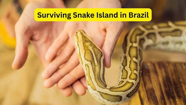 Surviving Snake Island in Brazil; 5 disturbing facts about the world&rsquo;s most dangerous island every traveller should know