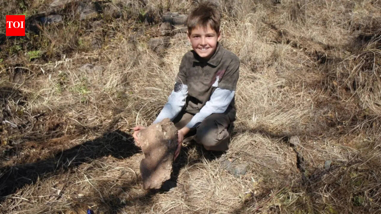 How curiosity helped 9-year-old Matthew Berger make the famous Malapa fossil discovery