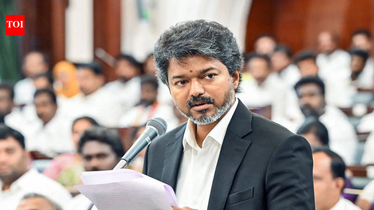 Vijay wins floor test in Tamil Nadu: How governments prove majority inside Assembly, constitutional process explained