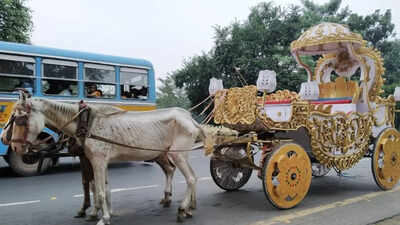 'Don’t take carriage rides': After another horse death, PETA India launches billboard campaign in Kolkata