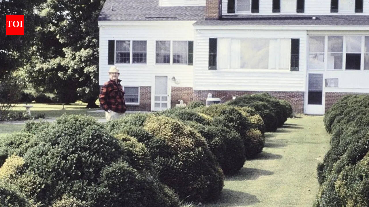 These 5 evergreen shrubs make front entry beds look expensive all year