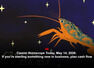 Daily Cancer Horoscope For May 14: Faith and family bring quiet luck; plan business moves with care