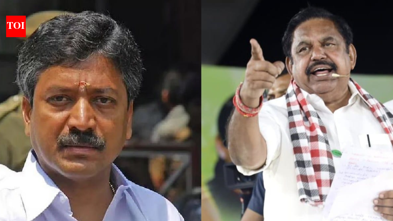 'EPS has no such idea': Rebel AIADMK MLA lobs 'betrayer' charge at party chief