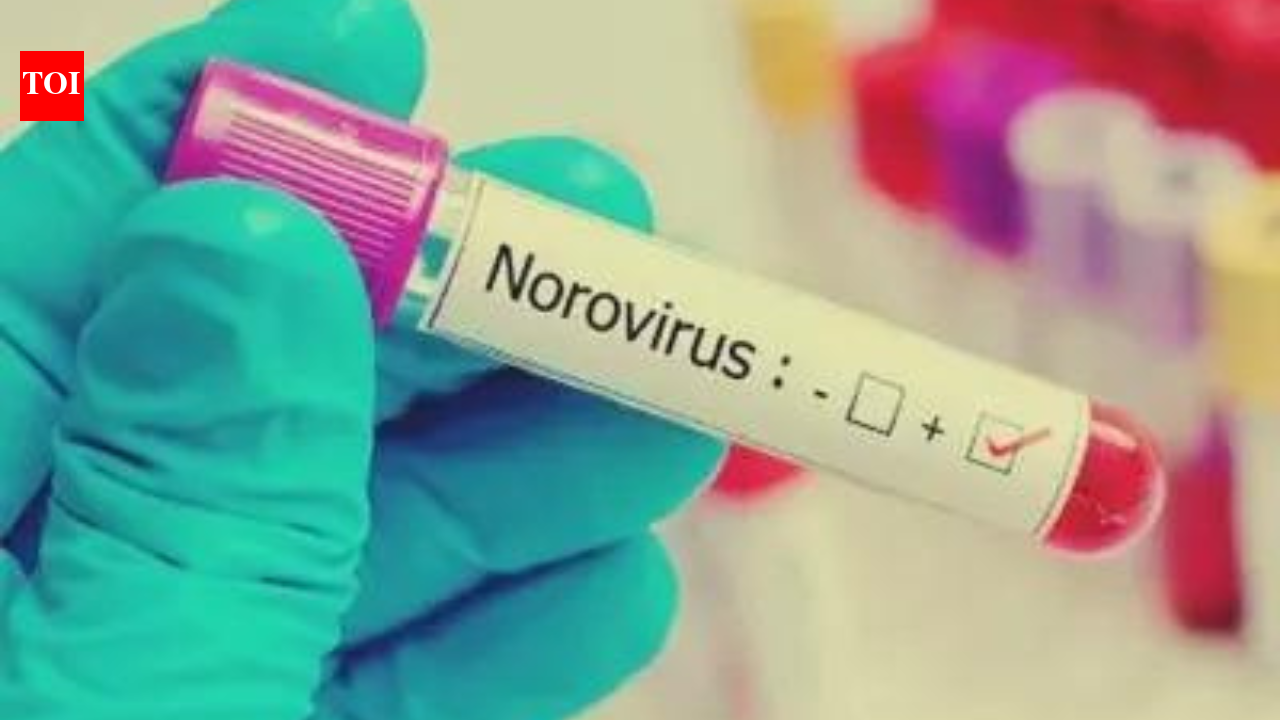 Cruise ship with 1,700 passengers onboard isolated after suspected norovirus death