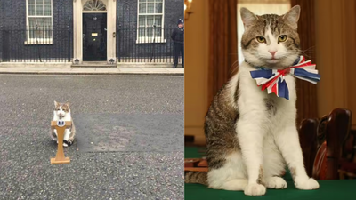 ‘Whether Starmer stays or goes...’: Larry the Cat’s viral post steals spotlight amid UK political drama