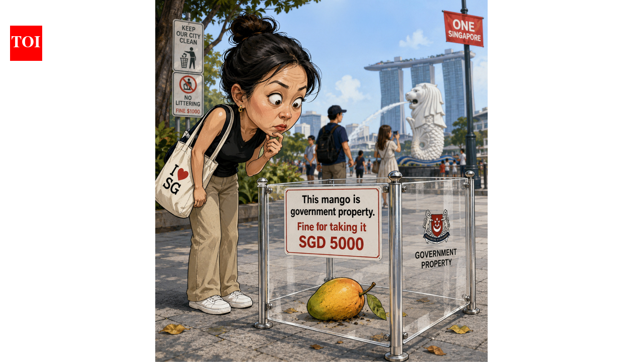 Picking up a fallen mango could cost you Rs3.5 lakh in Singapore