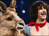 Eurovision: Austria-Australia confusion takes over the musical stage with a unique act