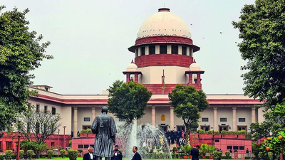 'One can wake up a Hindu, have lunch as a Muslim and go to sleep as a Christian', this argument from rationalists could lead to absurdity: SC