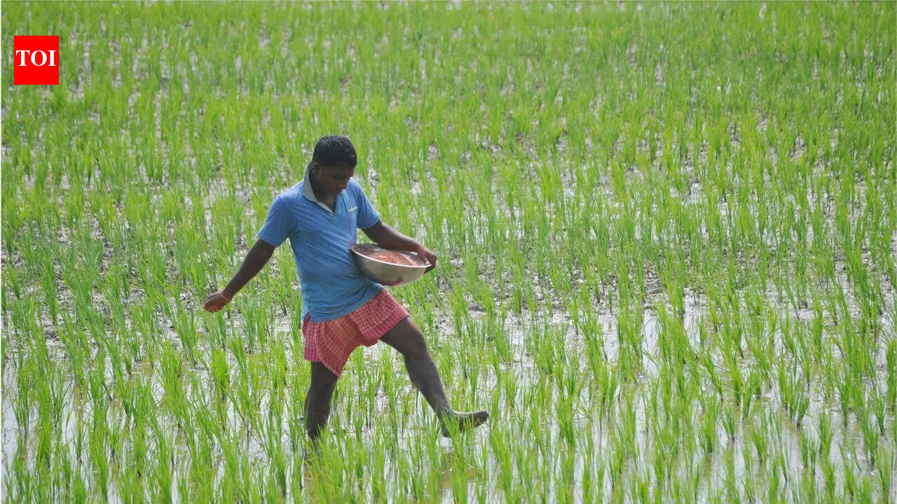 Telangana procures 30L MT of paddy