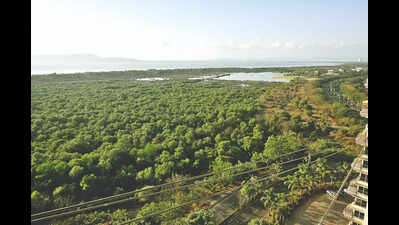 Union Ministry of Environment, Forests & Climate Change asks Maharashtra government to examine complaints regarding Versova-Bhayander Coastal Road and take necessary action