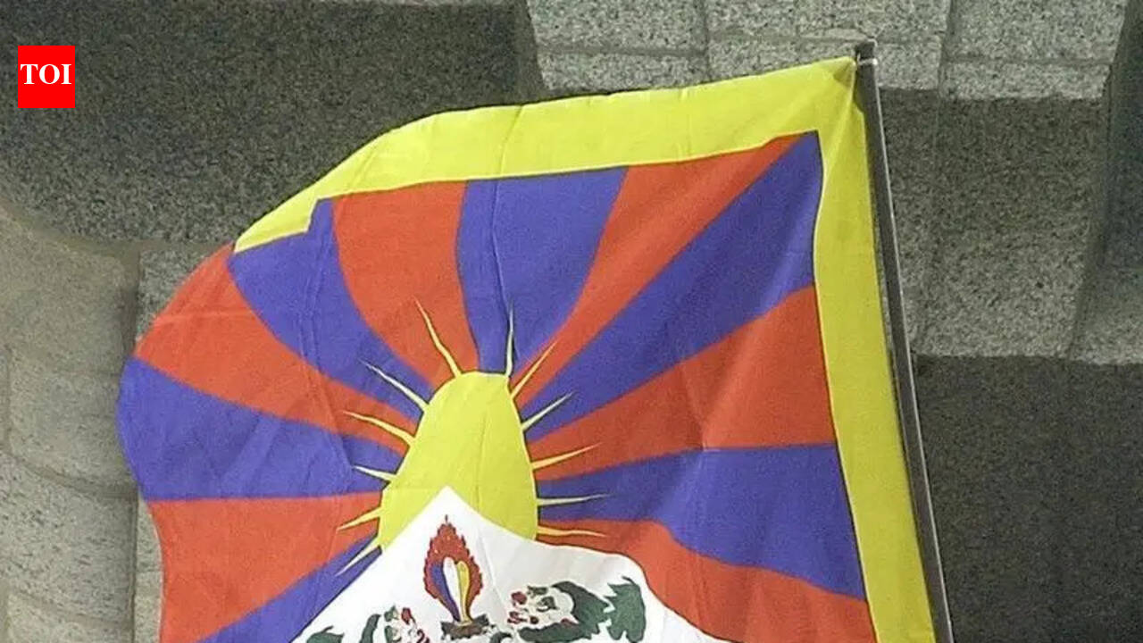 Tibetan elections: 17 first-timers in the new 45-member parliament