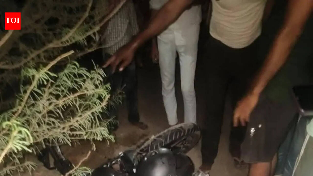 Thar crushes mother, son in Nuh; driver on the run