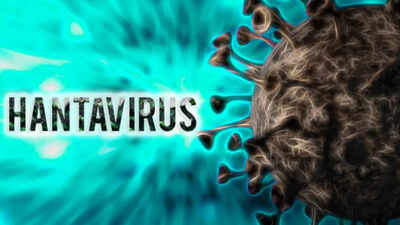 Hantavirus outbreak: Deadly Andes strain detected in cruise ship cases; eight cases confirmed