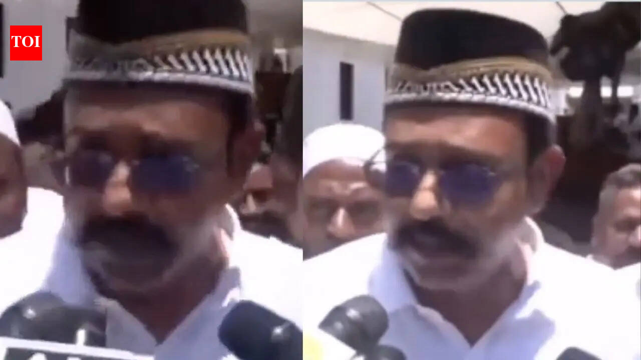'Have entered the fray to abolish Sanatana': Now, TVK MLA Mustafa endorses Udhayanidhi Stalin's remark