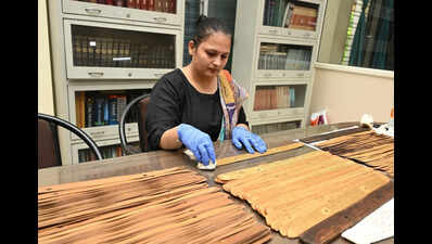 Rescuing timeless wisdom through manuscript preservation in AP