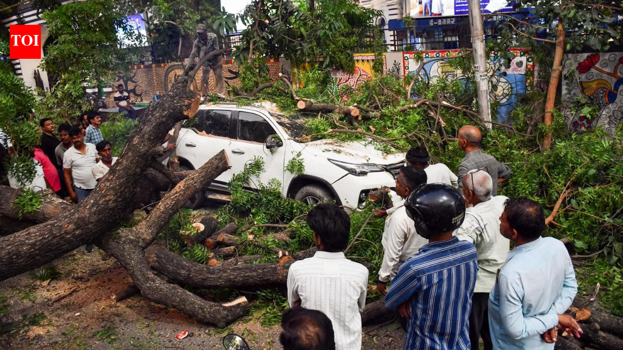 At least 89 killed as fierce storm and heavy rain batter multiple districts in Uttar Pradesh