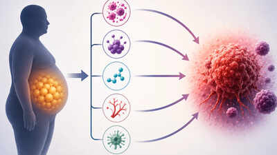 Weight gain in adulthood linked to a fivefold risk of certain cancers