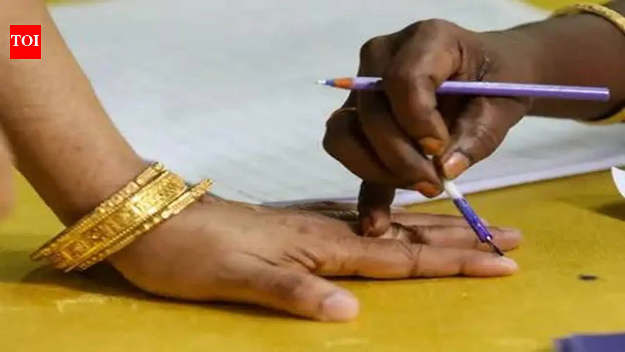 Chennai airport flags 15 foreign passport holders after ink marks raise suspicions of illegal voting in Tamil Nadu polls