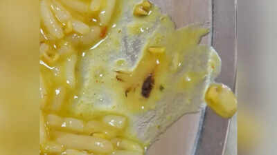 Cockroach found in food at RML doctors’ hostel mess, probe ordered