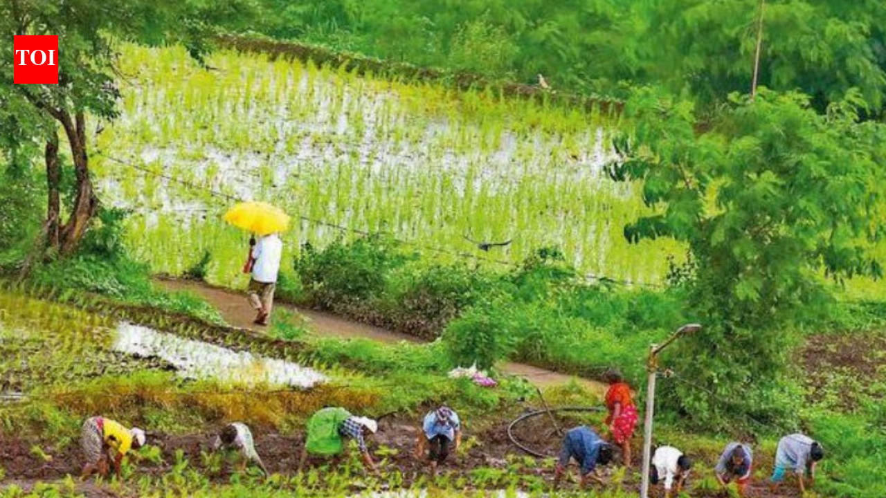 AI rainfall forecast system to give UP farmers, disaster managers 10 day local weather alerts
