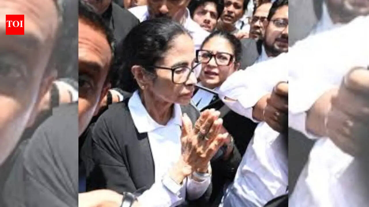 Watch: Lawyer Mamata dons black gown, faces sloganeering outside Calcutta HC
