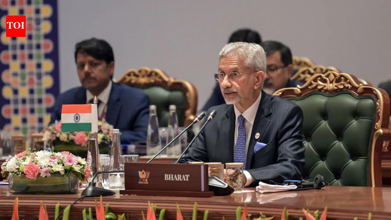 'Unilateral coercive steps, sanctions': Jaishankar takes veiled dig at US