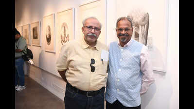 What stories does the soil remember? An exhibit explores human-nature bond