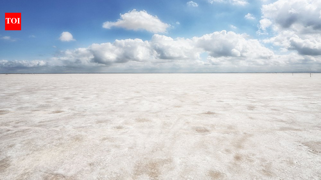 Hidden beneath Oklahoma’s white salt flats lies a crystal found nowhere else on Earth that people can dig up for free