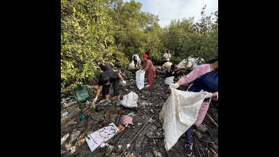 ‘Mangrove Soldiers’ to mark 300 weeks of coastal cleanup in Navi Mumbai on Sunday