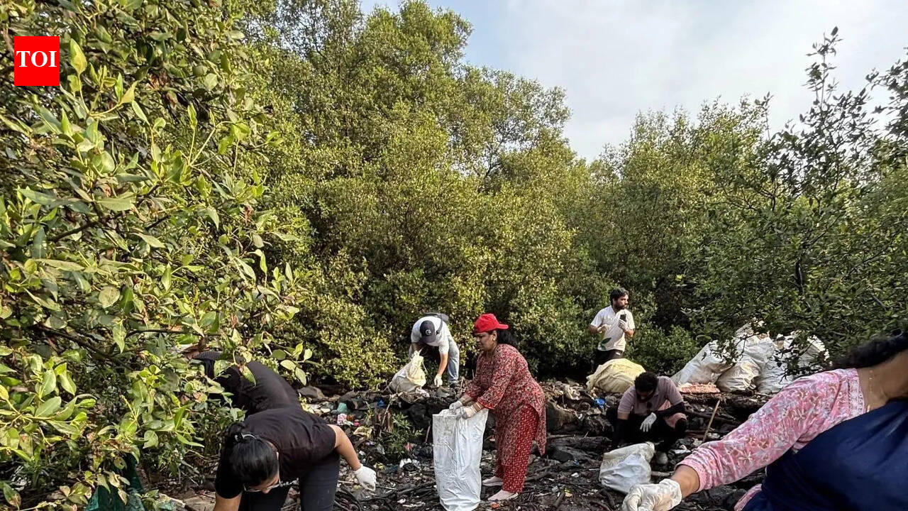 ‘Mangrove Soldiers’ to mark 300 weeks of coastal cleanup in Navi Mumbai on Sunday