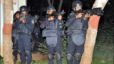 45% Greyhounds forces to be repatriated as Maoist threat declines