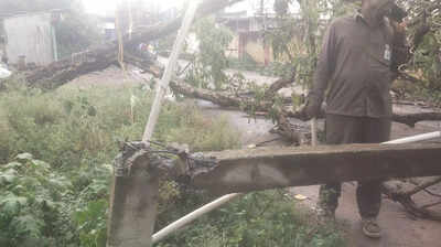 Heavy rain uproots trees in twin cities, exposes civic unpreparedness