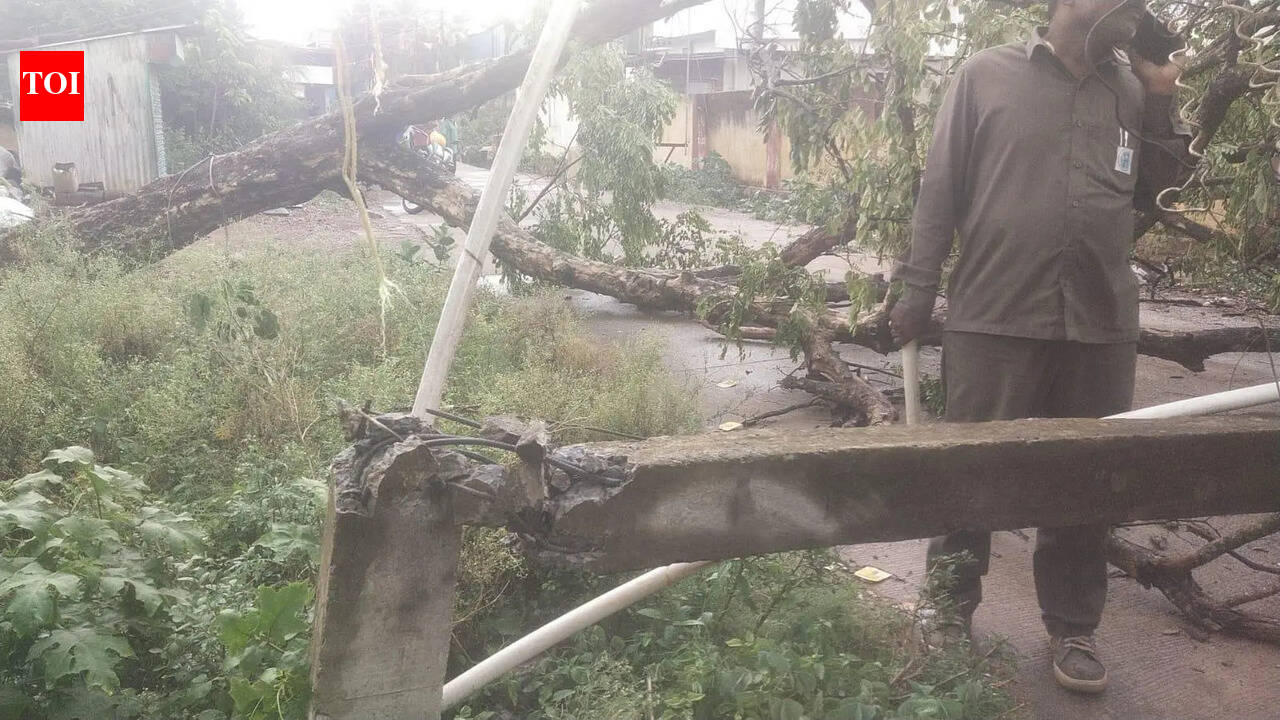 Heavy rain uproots trees in twin cities, exposes civic unpreparedness