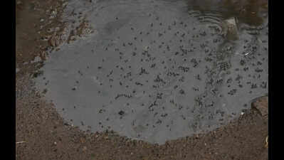 Sewage overflows in streets around Tallakulam temple