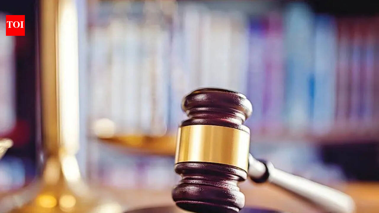 Delhi district court bar associations call off strike over pecuniary jurisdiction demand