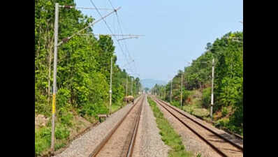 Loco pilots halt train, allow tusker to cross track in Keonjhar forest