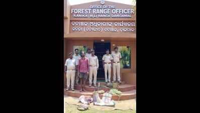 Deer meat seized, poacher held