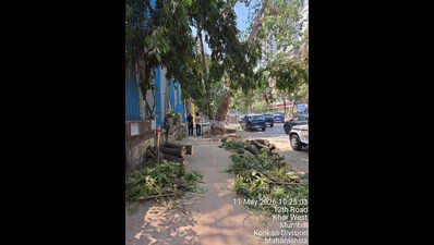 Day after turning 15, one Khar tree fall victim ‘brain dead’; friend to undergo surgery on Friday